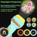 Projector torch